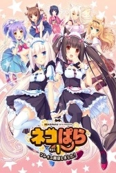 Neko Para – Episode 1 Soleil Kaiten Shimashita Thumbnail